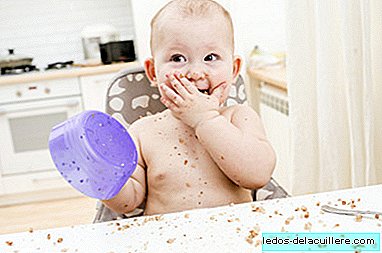 13 recipes to start making Baby Led Weaning with which your baby will suck your fingers