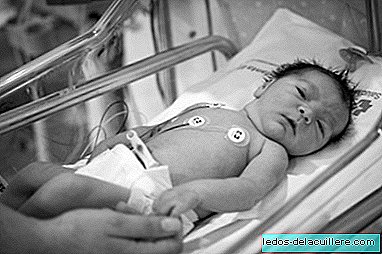 15 belas fotos tiradas por um pai cujo bebê foi internado na unidade neonatal