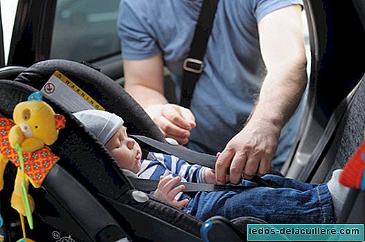 56 models of back-seat chairs from birth to 25 kilos: the safest way to travel