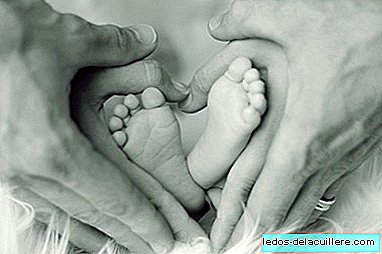 出産後に死亡するか、脆弱な状況で生まれた赤ちゃんの両親に同行：これが「Hilando Vidas」の仕組みです