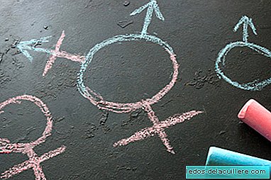 Duitsland keurt het derde geslacht in de burgerlijke stand goed, onder de naam 'divers'