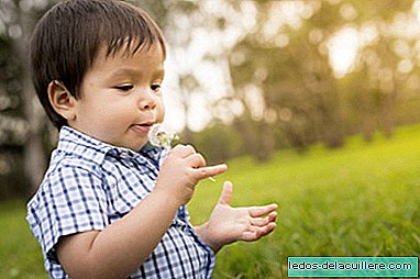 Alergia na peľ: ako predchádzať a zmierniť príznaky u detí