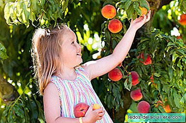 Alergia ao fruto da rosácea, uma das causas mais comuns de anafilaxia: sintomas e tratamento