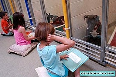 Something beautiful is happening in this animal shelter: children read abandoned dogs