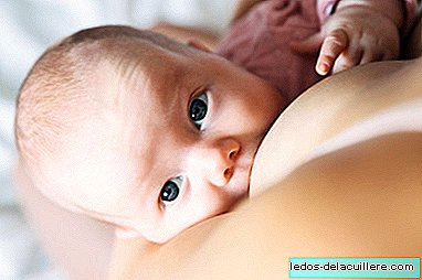 Takto se složení mateřského mléka mění, když se dítě narodí předčasně: úžasné!