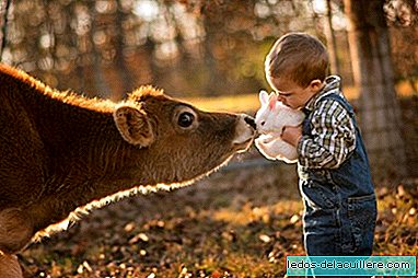 Så växer de upp på en gård: en far tar vackra bilder av sina barn som lever med djur