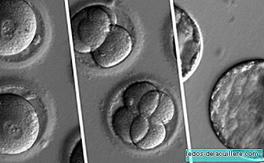 Historical breakthrough: for the first time we were able to eliminate a hereditary disease in human embryos