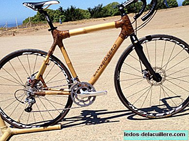 Bamboo bicycles to study: the solidarity and decision of Bernice Dapaah