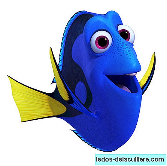 "Looking for Dory" dive into your memories looking for a new adventure, do you sign up?