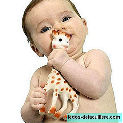 Como limpar corretamente a girafa Sophie para evitar riscos para o seu bebê