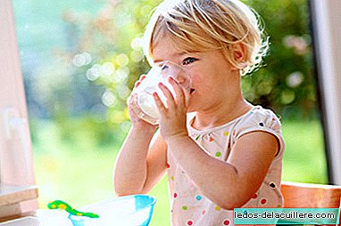 Catalogul aprobă vânzarea de lapte crud: pericolele pentru copii și femei însărcinate