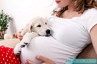 한 연구에 따르면 임신 중에 개와 고양이와 함께 사는 것은 아기에게 건강상의 이점이 있다고한다