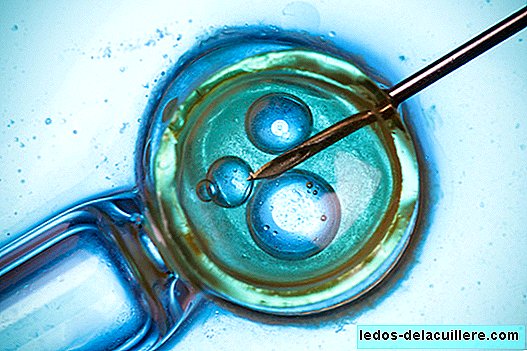Cryopreservation of semen, ovules and embryos: when this technique is used and how long the frozen samples last