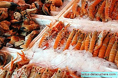 When to introduce seafood in the children's diet