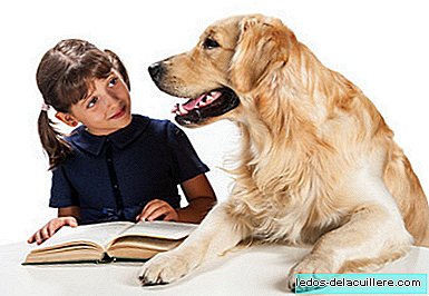 När hundar hjälper barn att läsa