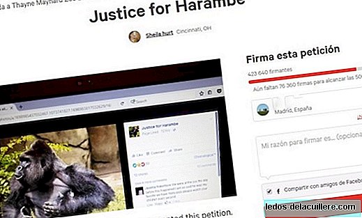 Laten we stoppen de moeder van het kind de schuld te geven voor de dood van de Harambe-gorilla