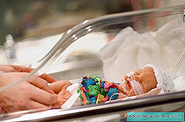 The premature baby needs to feel that they touch him for a better brain development