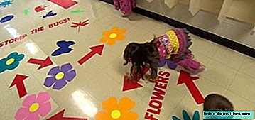 The fun sensory hallway of a school in Canada, which helps children concentrate better in class