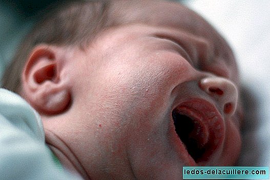 O choro do bebê ativa os mesmos mecanismos cerebrais em mães de diferentes culturas