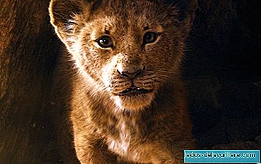 Nový trailer pro „Lion King“, velkolepý vizuální displej, který nás zavede k africké savaně