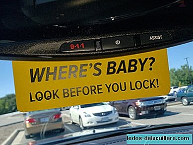 The simple and great reminder to place in the car and thus avoid forgetting babies and children inside