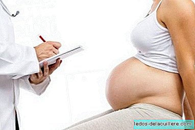 Het Zika-virus is in Spanje aangekomen, lopen zwangere vrouwen gevaar?