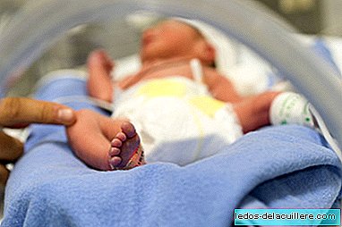 Um bebê prematuro nascido na semana 25 e pesando 700 gramas é liberado sem sequelas