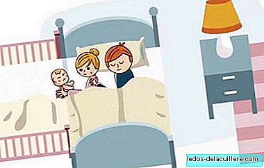 Colecho-set om elk bed aan de wieg van de baby te bevestigen