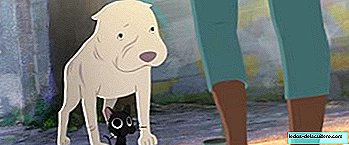 "Kitbull", Pixars emotionaler Kurzfilm über Tiermissbrauch, der Ihr Herz berührt