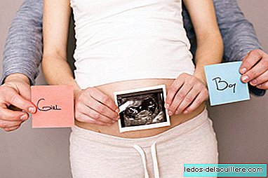 وفقاً لبعض الدراسات ، فإن حمية الأم قبل الحمل يمكن أن تؤثر على جنس الطفل