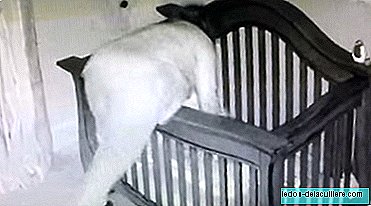 The security camera recorded everything: the grandmother puts the baby to sleep and goes head first into the crib