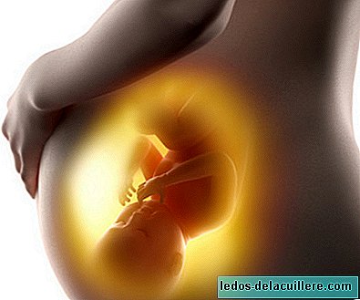 The importance of getting pregnant inside the uterus: the brain develops better inside than outside