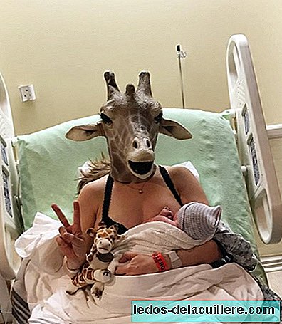 The 'mother giraffe' has given birth to her baby (before April) and her first photo is epic