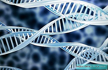 유전자 조작으로 알바로가 과학의 기적 인 에스코바르 증후군을 없애는가?