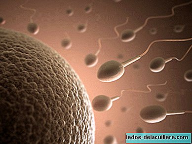 Manens fetma förvärrar spermierna och hälsan hos sina barn