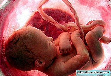 A placenta se adapta quando as mães têm uma dieta pobre ou falta de oxigênio durante a gravidez