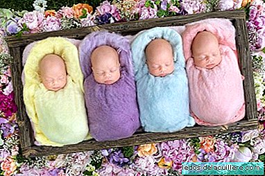Les images les plus adorables de quadruplés identiques, un cas qui se produit entre 64 millions de naissances