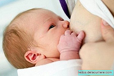 Leite materno, a primeira vacina do bebê