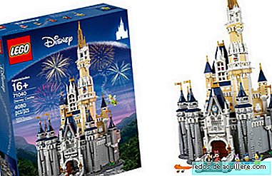 LEGO pristato „Disney“ pilį nuostabiame kolekcininkų komplekte