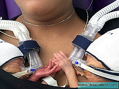 Si kembar prematur menggemaskan yang berpegangan tangan saat mereka bersama