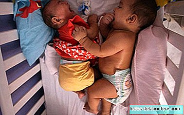 Twins who could have the cure for the Zika virus: one of them was born healthy