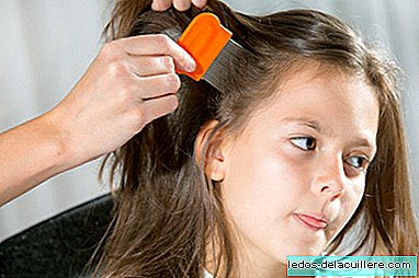 Lice also go camping: how to prevent and fight them in summer
