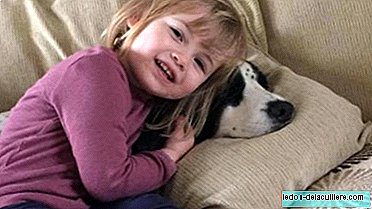 मेनिन्जाइटिस बी की एक 2 वर्षीय लड़की की मृत्यु हो जाती है और उसके माता-पिता ने टीका नहीं होने के विरोध के रूप में उसकी बीमार तस्वीर प्रकाशित की है