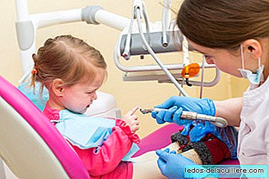 Orthodontist and pediatric dentist, the two professionals in charge of the bucondental health of our children