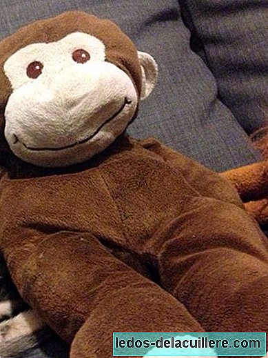 Pau lost his beloved stuffed animal and found it thanks to social networks