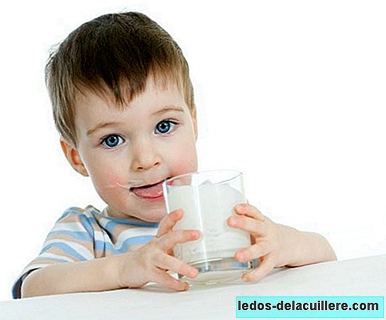 Kinderartsen waarschuwen voor het risico van het verwijderen van lactose en gluten uit het dieet zonder diagnose van intolerantie