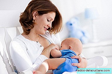 Breastfeeding permit: what it is and what you should consider if you wish to apply