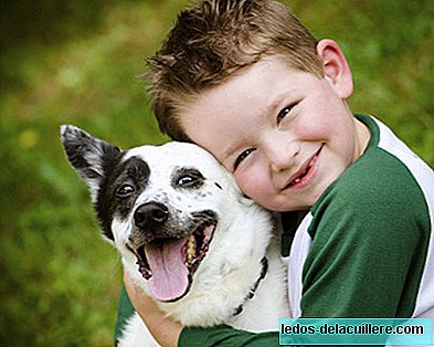 Why it is good for children's health to have dogs and cats at home