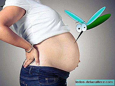 Por que os mosquitos mordem mais as mulheres grávidas e como se proteger