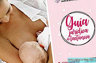 They publish the 'Legal Guide of Breastfeeding': know all your rights as a nursing mother